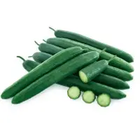 Nymph+ Cucumber (Hybrid) Seeds