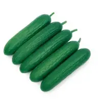 Plentiful G Cucumber (Hybrid) Seeds
