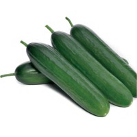 S-225 Cucumber Seeds