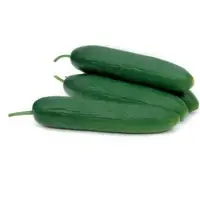 S162-92 Cucumber Seeds