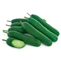 Sinbad Cucumber Seeds