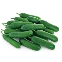 Thumb Sweet Cucumber (Hybrid) Seeds