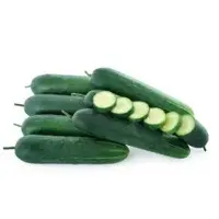 Tusk Cucumber (Hybrid) Seeds
