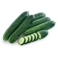 Viking Cucumber (Hybrid) Seeds