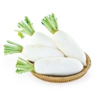 Elsa Radish (Hybrid) Seeds