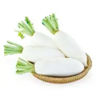 Elsa Radish (Hybrid) Seeds