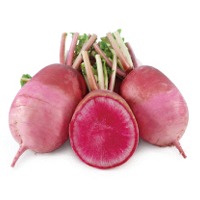 Magnet Radish (Hybrid) Seeds