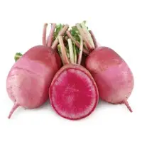 Magnet Radish (Hybrid) Seeds