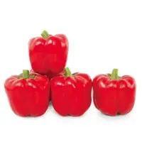 Cardinal Star Pepper Seeds