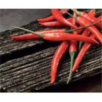 Cartier Pepper Seeds