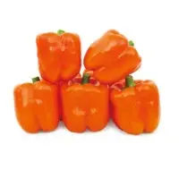 Charming Star Pepper Seeds