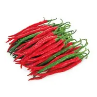 Kris+ Pepper Seeds