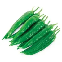 Pointman Pepper Seeds