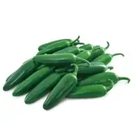 Rana Hot Pepper Seeds