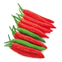 Salvo Hot Pepper Seeds
