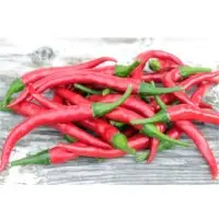 SPCH78 Hot Pepper Seeds