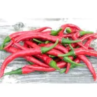 SPHP03 Hot Pepper Seeds