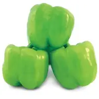 Sweetie Star Pepper Seeds
