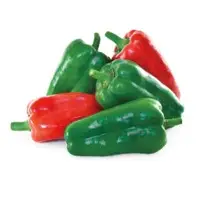 Titan Sweet Pepper Seeds