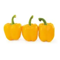 Venus Sweet Pepper Seeds