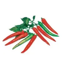Zest Hot Pepper Seeds