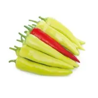 Zesy Hot Pepper Seeds