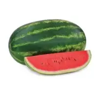 AceT Watermelon Seeds