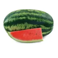 Action+ Watermelon Seeds