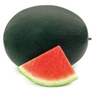Chubbiness Seedless Watermelon Seeds
