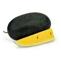 Eclipse Small Watermelon Seeds