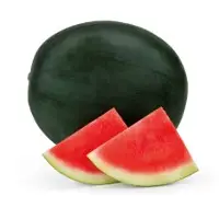 Obsidian Watermelon Seeds
