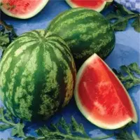SPWM008 Watermelon Seeds