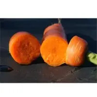 Karmona F1 Carrot Seeds