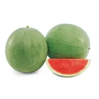 Tattoo Watermelon Seeds