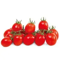 Jab Tomato Seeds