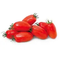 Sofia Tomato Seeds