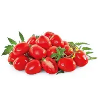 Timurid Tomato Seeds