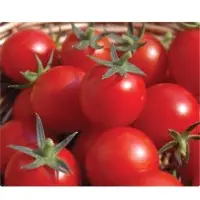 Vizzano Tomato Seeds