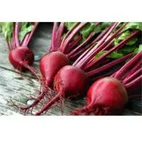 SPBT101 Betroot Seeds