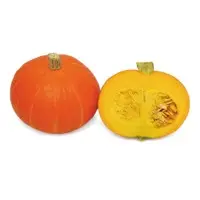 Eastern Rise Pumpkin (Hybrid) Seeds