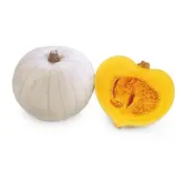 Lyric Pumpkin (Hybrid) Seeds