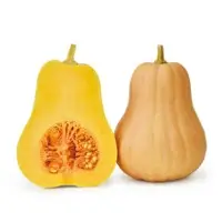 Nana Pumpkin (Hybrid) Seeds