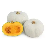 Rarity Pumpkin (Hybrid) Seeds