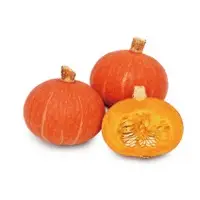 Red Lamp Pumpkin (Hybrid) Seeds