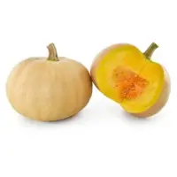 Smoothie Pumpkin (Hybrid) Seeds
