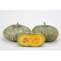 SPHP70 Pumpkin Seeds