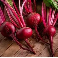 WJ107 F1 Frodo Hybrid Beetroot Seeds