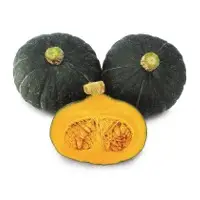 Tastemaker Pumpkin (Hybrid) Seeds