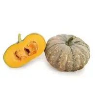 Vertex Pumpkin (Hybrid) Seeds