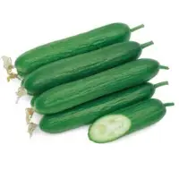 Aladdin Cucumber (Hybrid) Seeds